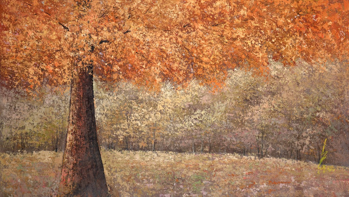 Forest in Autumn