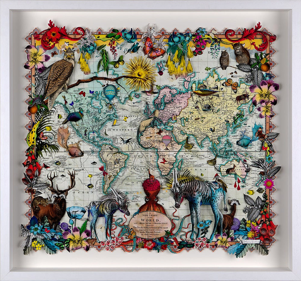 Navigators Hybrid 3D - Zebra Discoveries of the world (large)