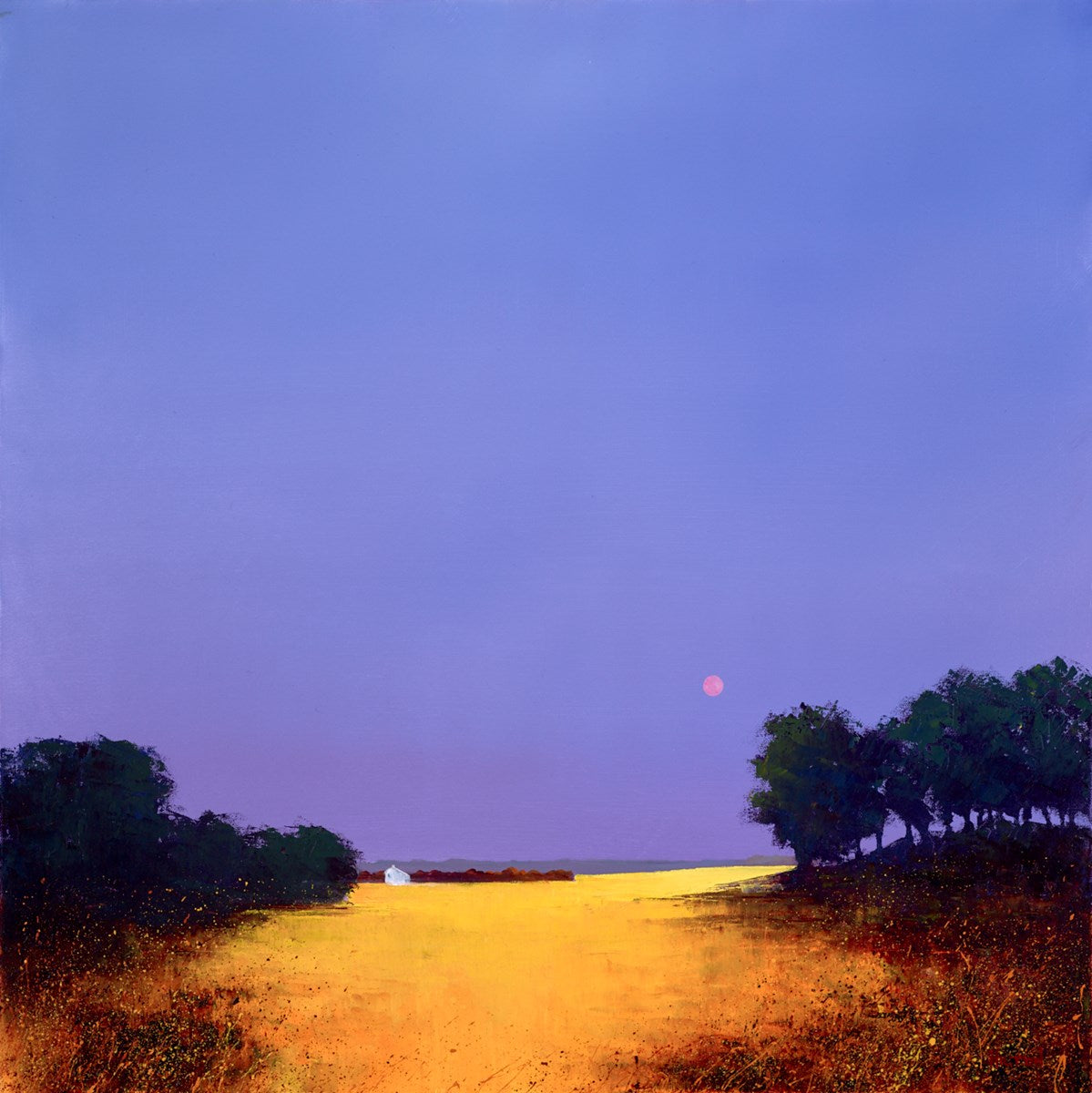Red Sky at Night IV