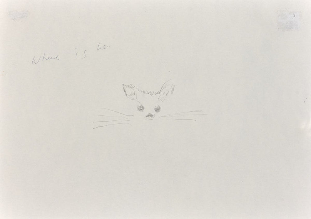 Docket the Cat (Monotype)