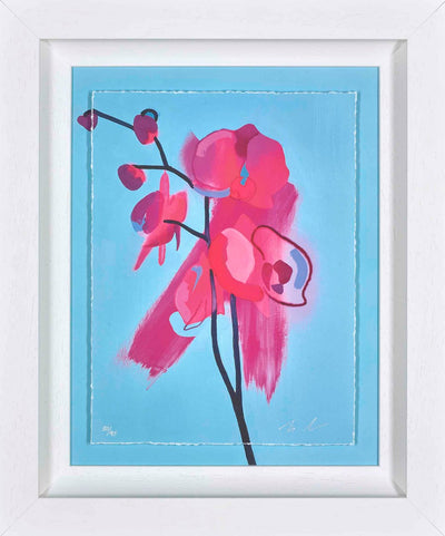 Enchant (Framed)