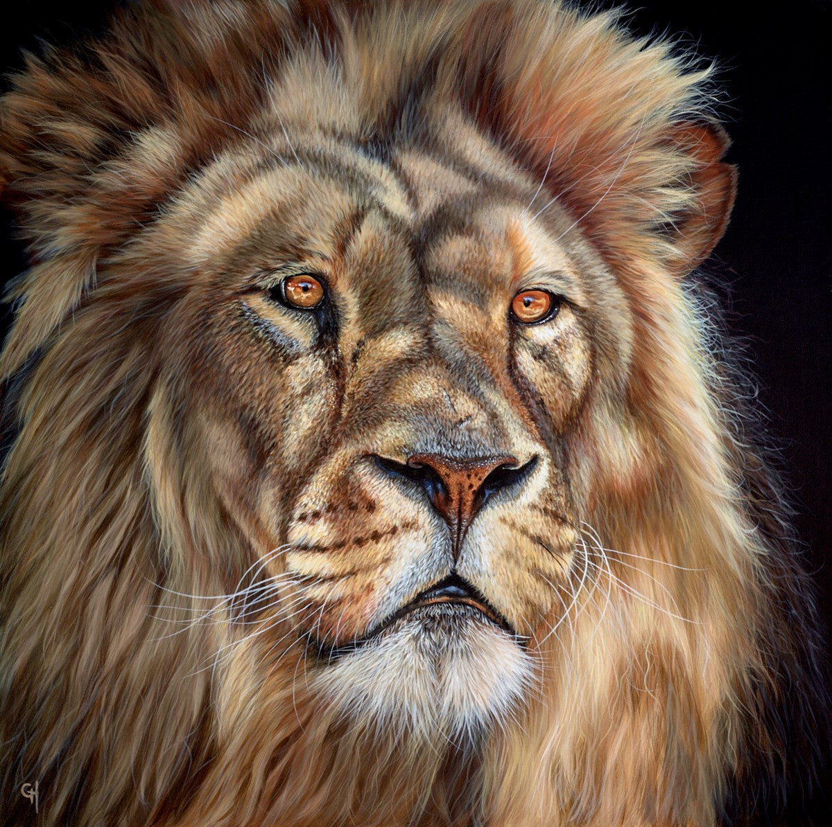King of the Jungle V
