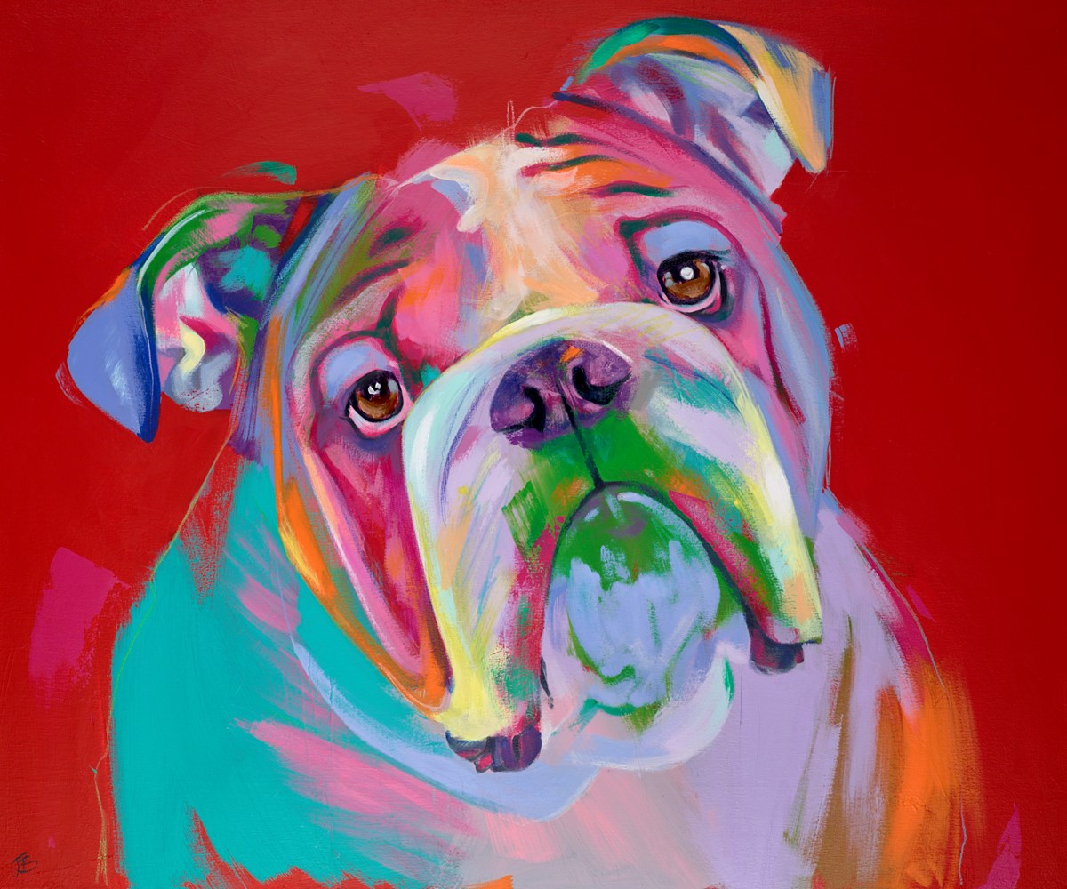 Bulldog Love