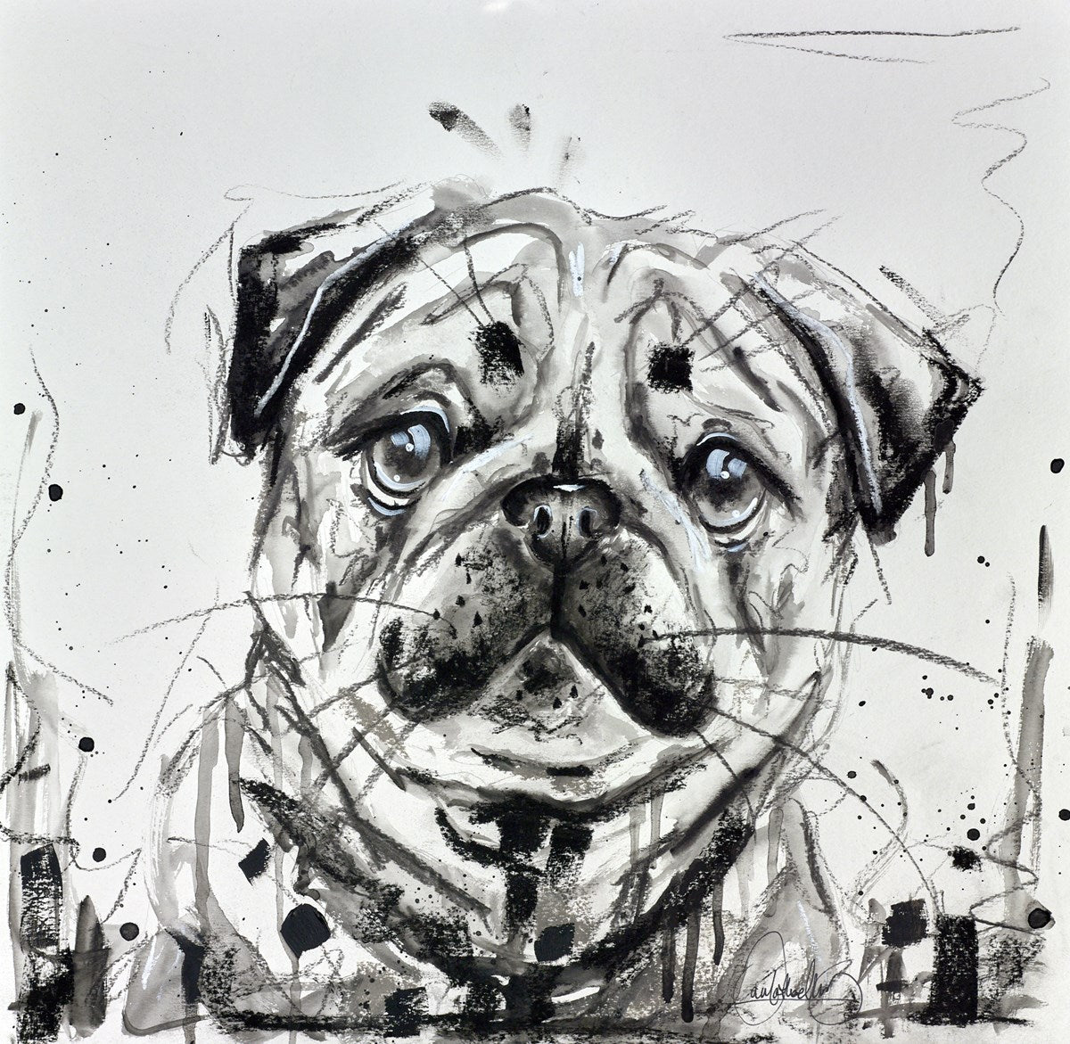 Pug