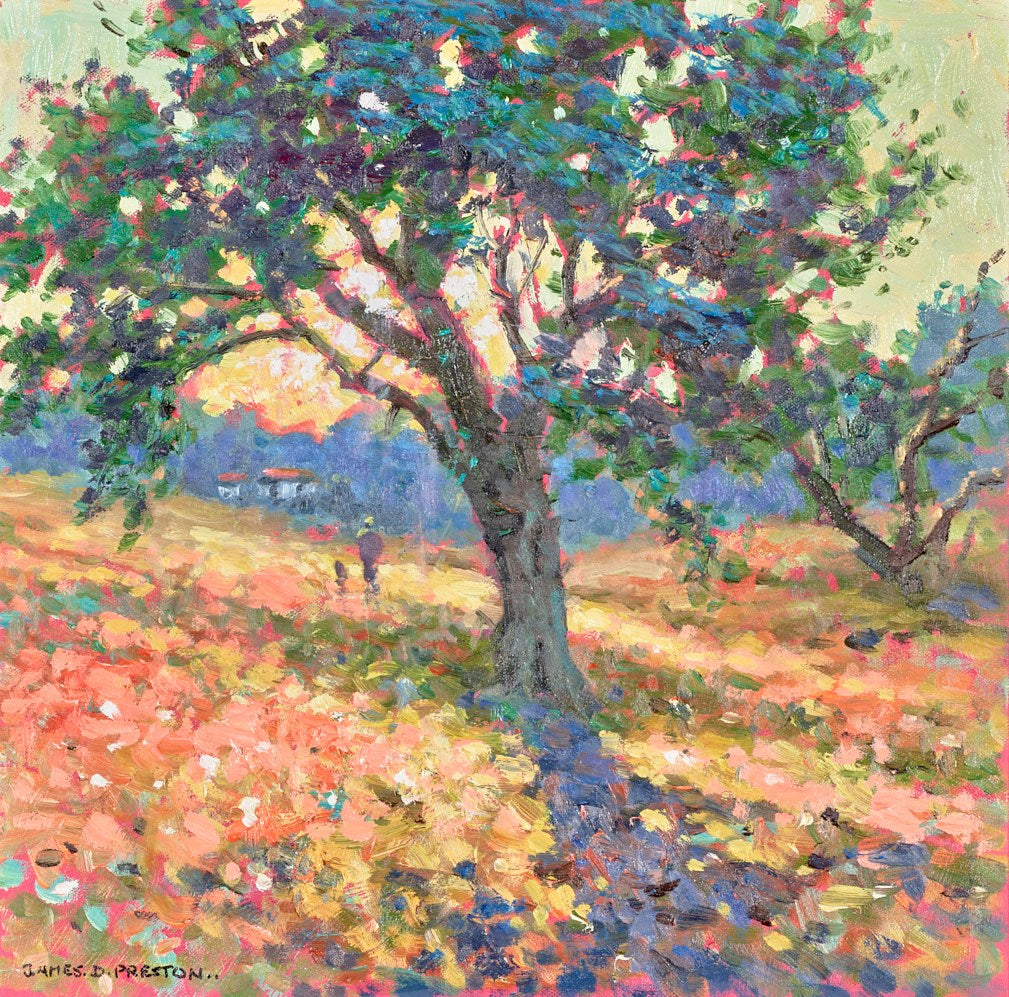 Olive Tree