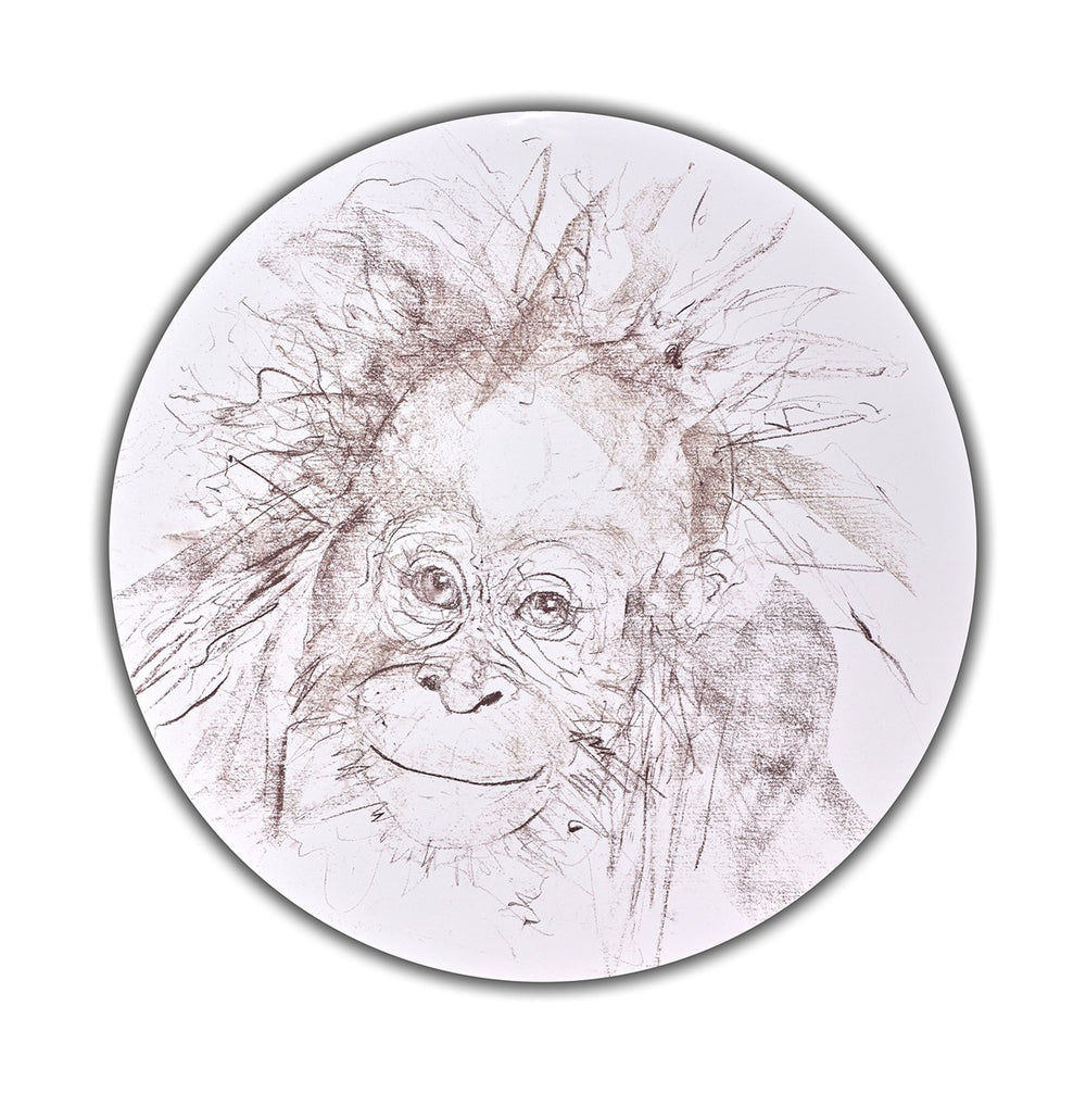 Baby Orangutan Study IV