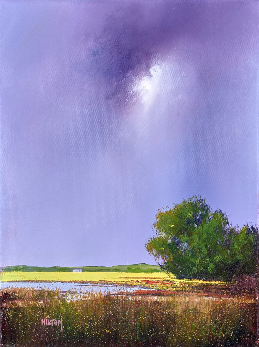 Wet Field Bog