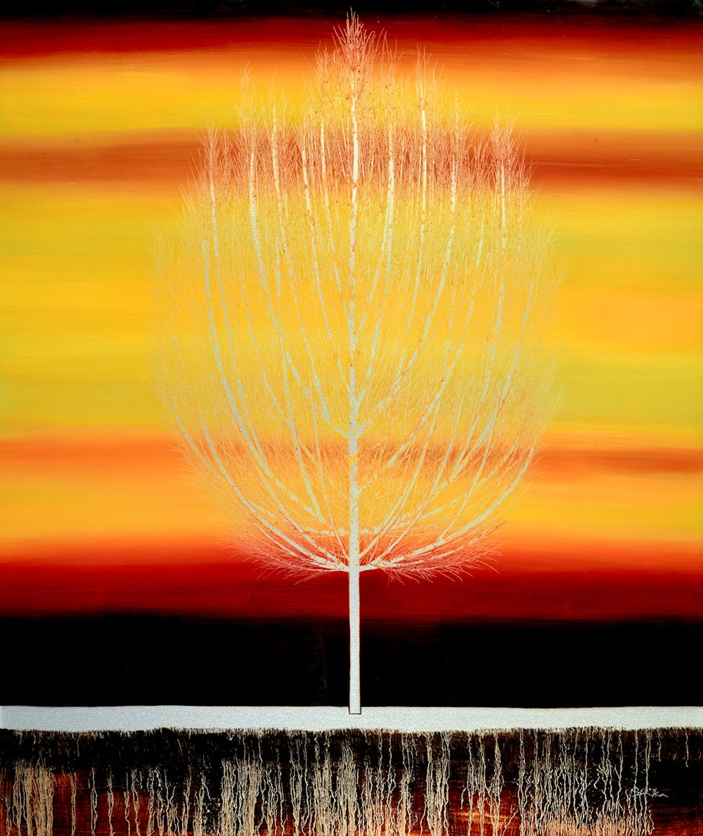 Sunset Silent Grove
