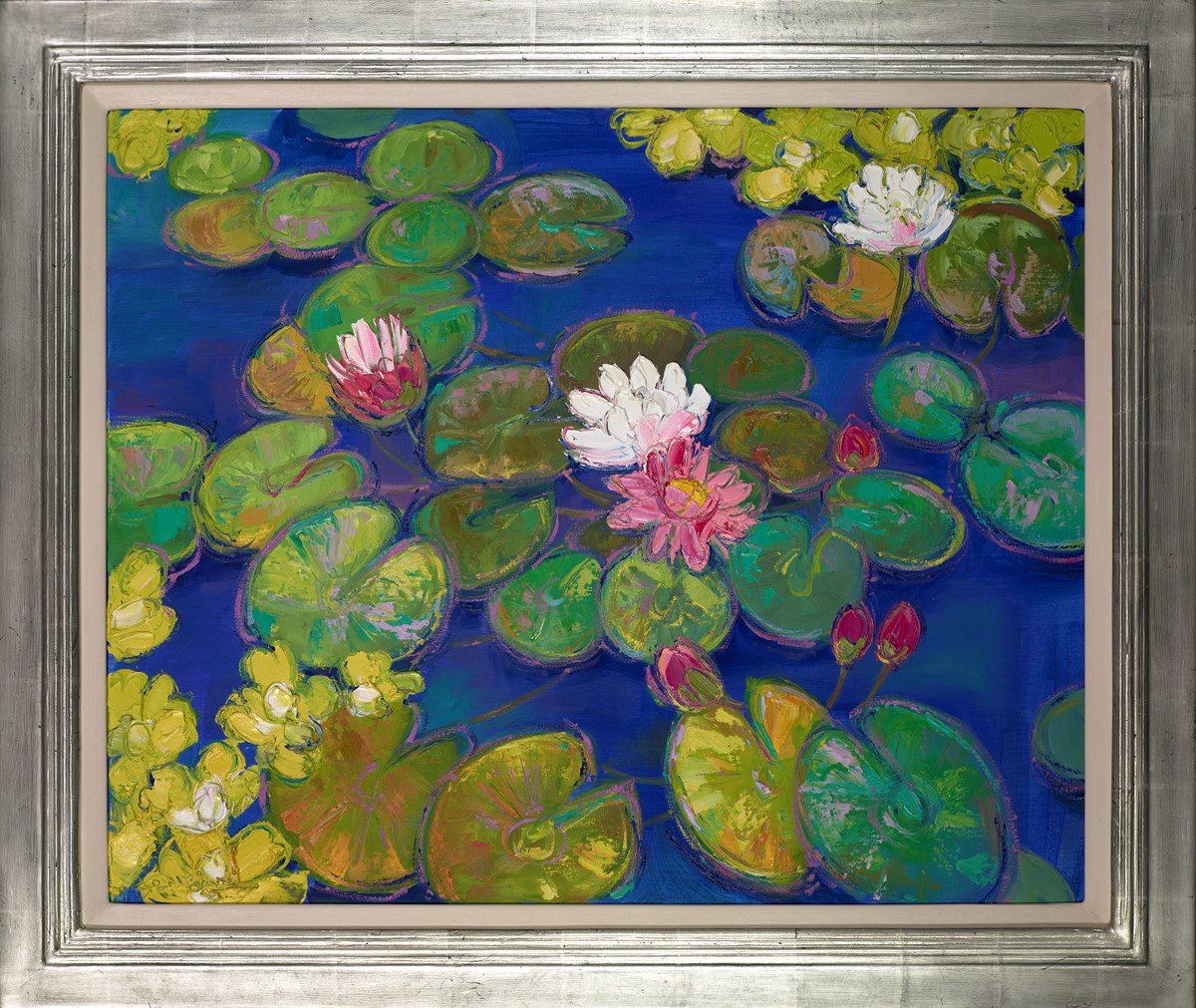 Pink Waterlillies in Sunlight, Kew
