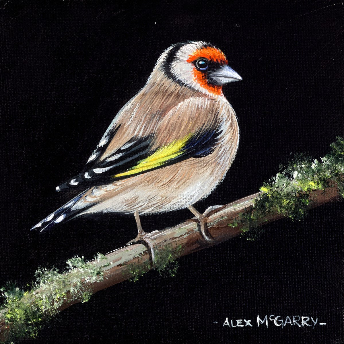 Goldfinch