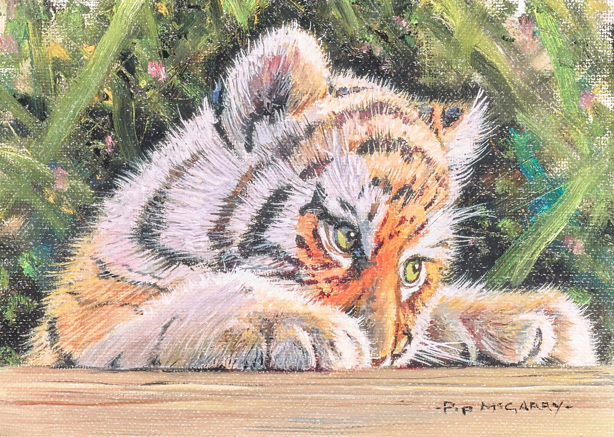 Tiger Cub IV