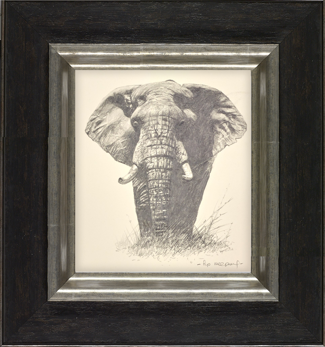 Lone Elephant
