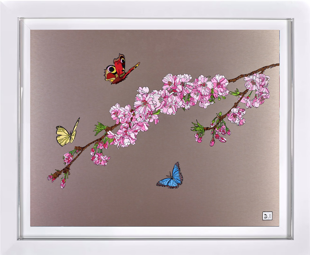 Blossoms And Butterflies