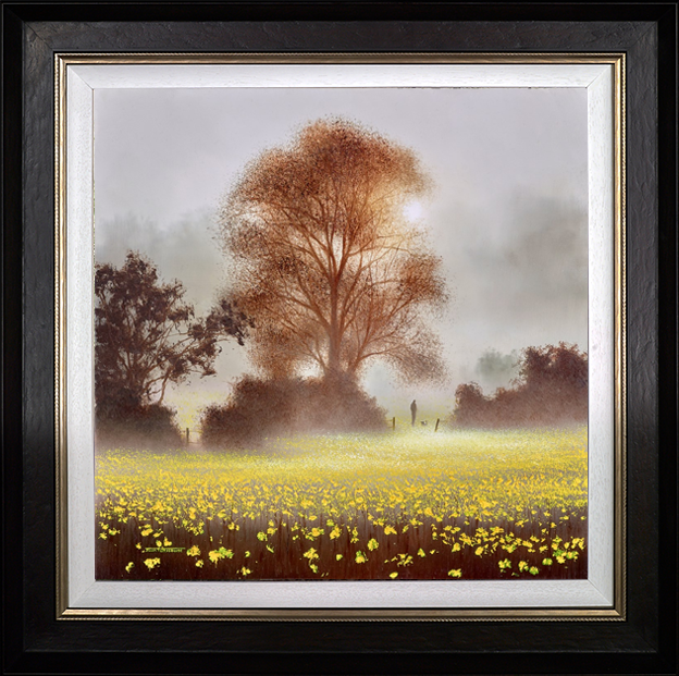 Buttercup Meadow