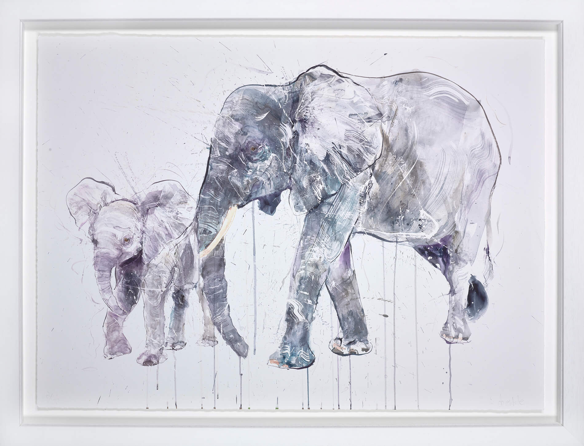Elephant And Calf