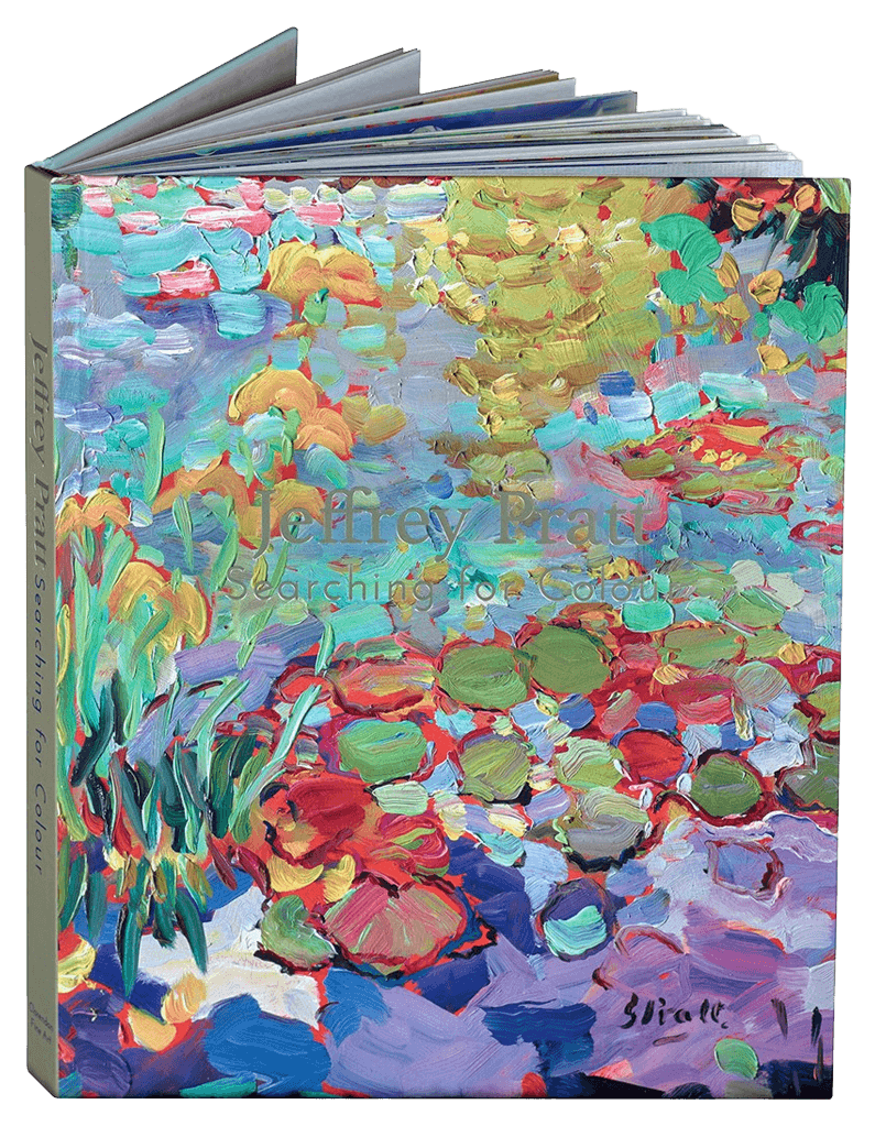 Searching For Colour (Book)