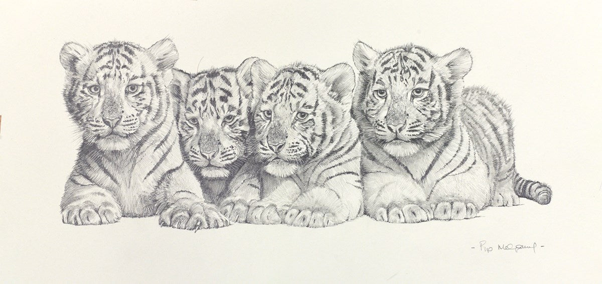 Four White Tiger Cubs