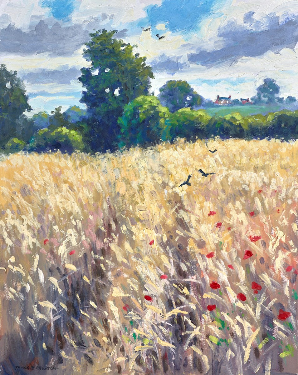 Corn Crows