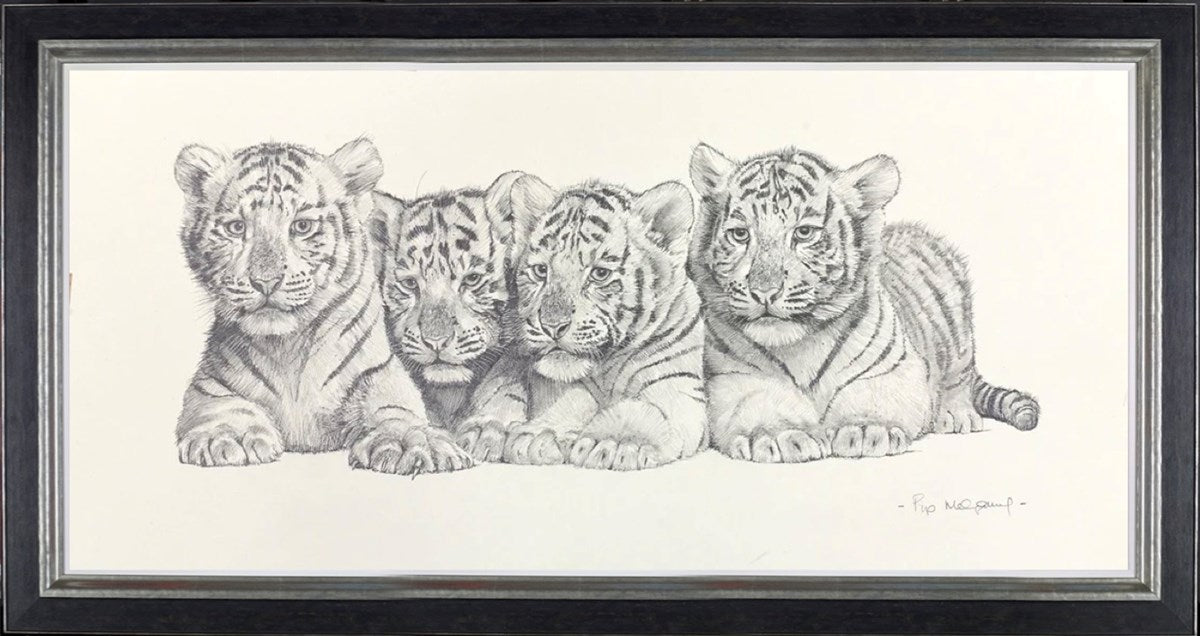 Four White Tiger Cubs (Framed)
