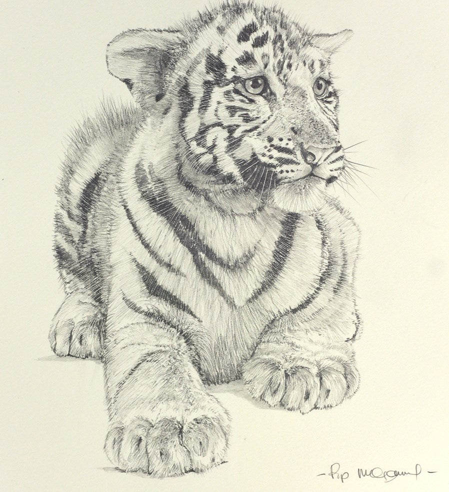 White Tiger Cub