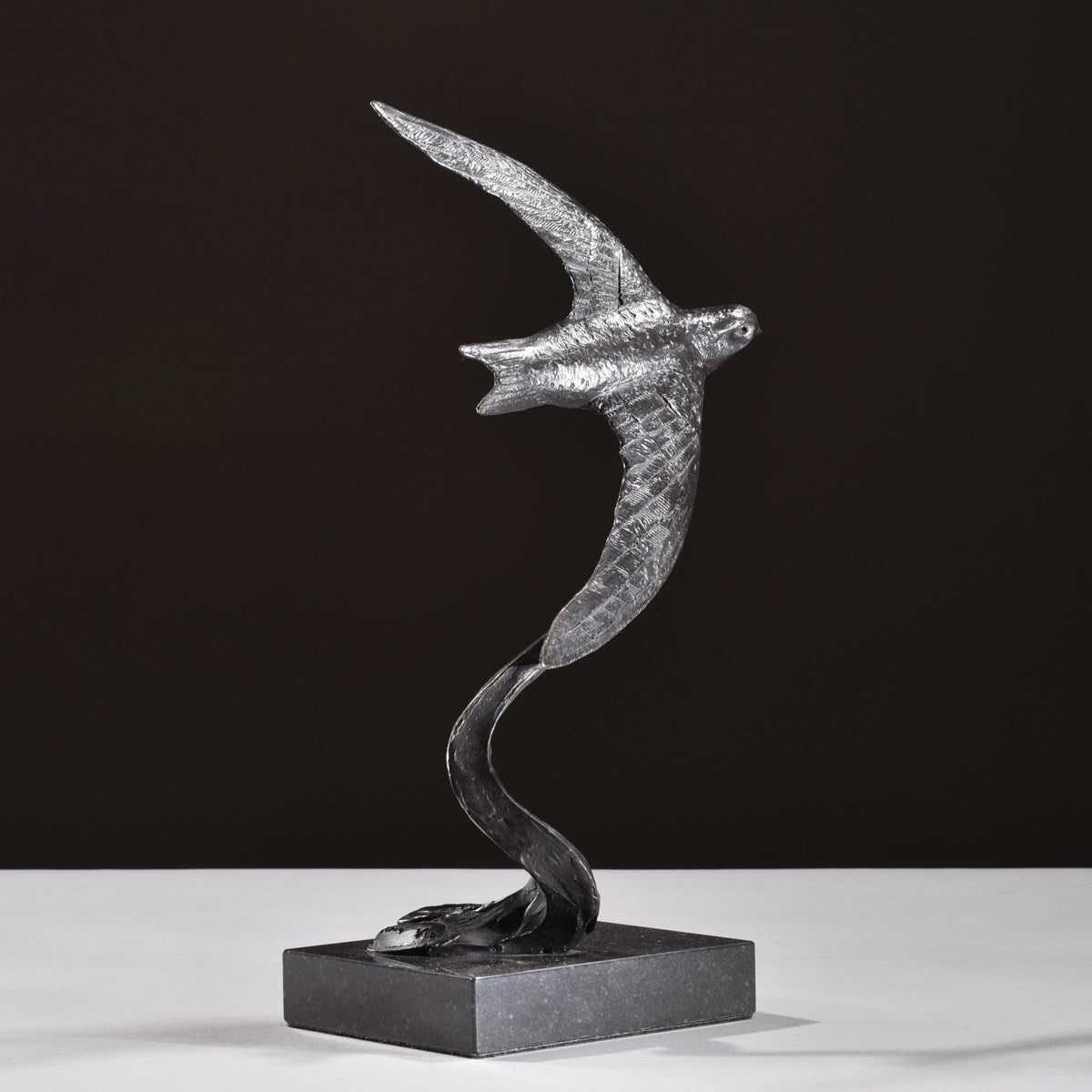 Swift Swooping - 2019
