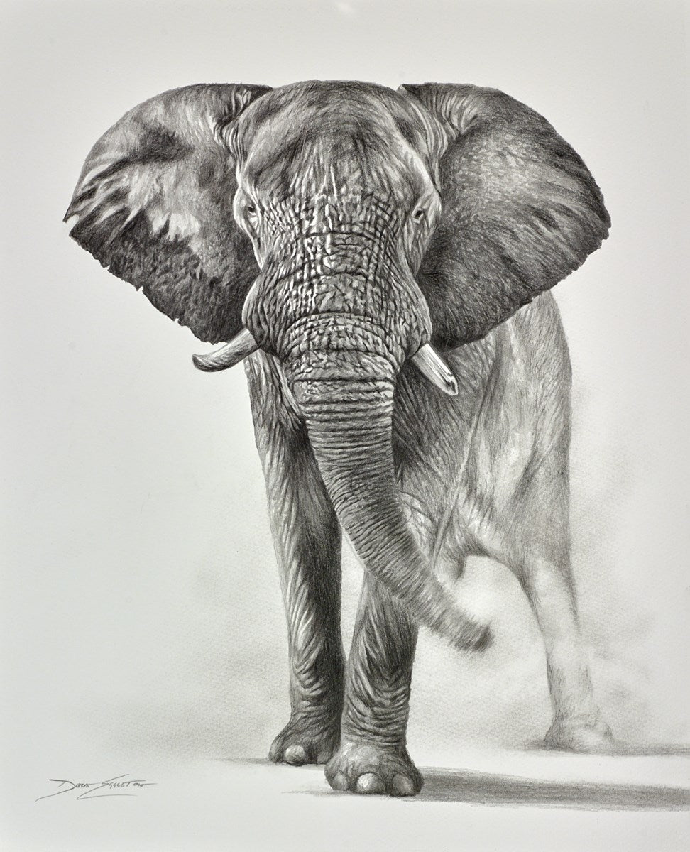 Elephant Study III