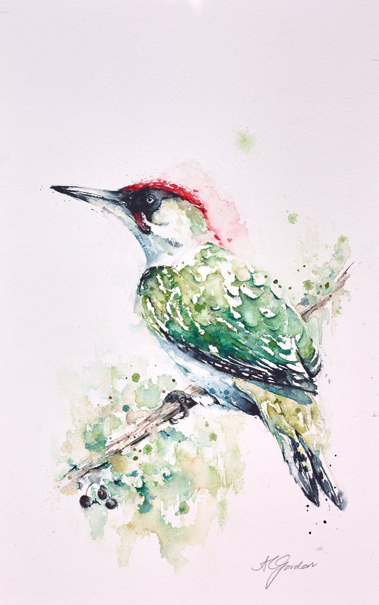 Native Green Woodpecker