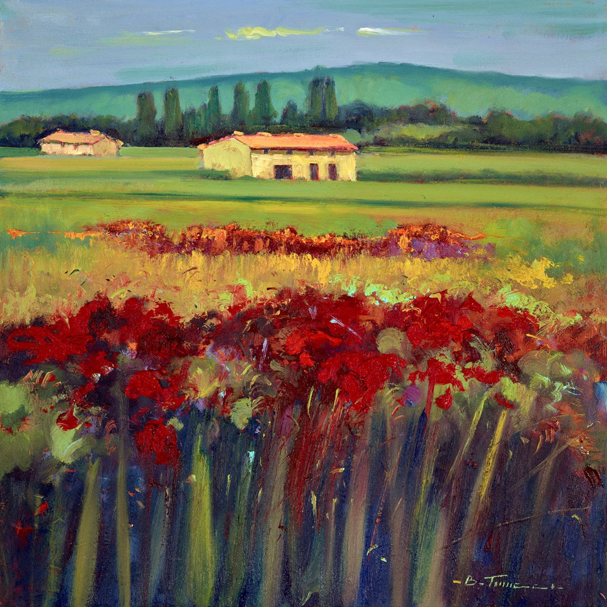 Campi floreali III