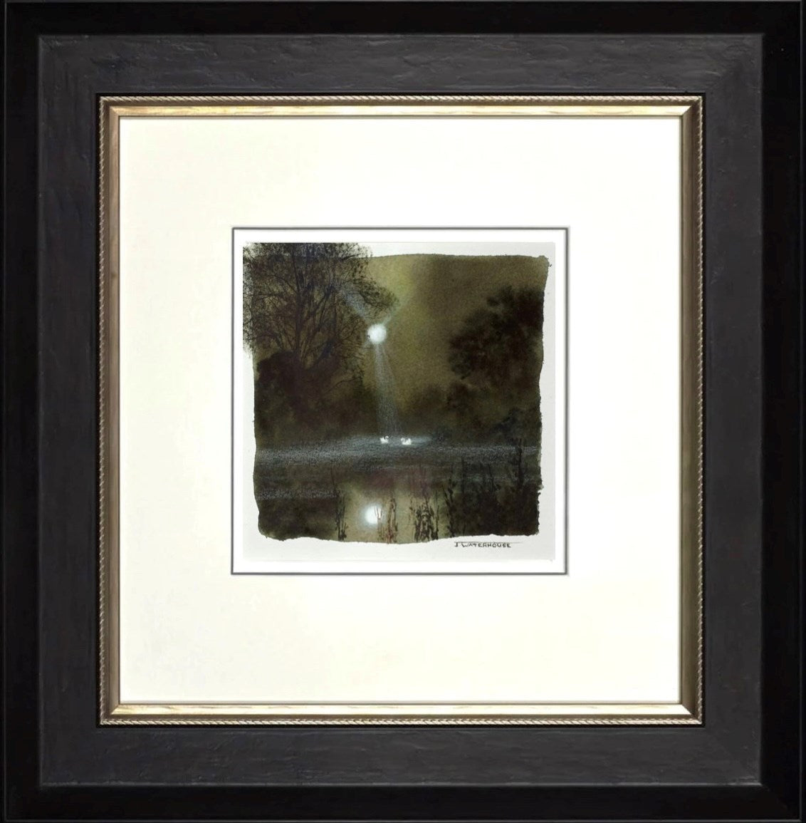 Natures Glory(study) (Framed)