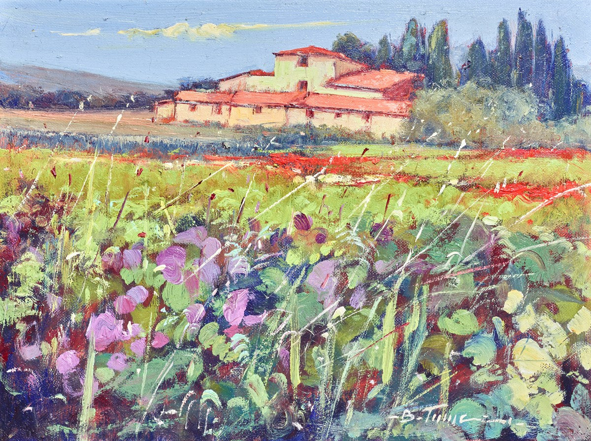 Campi Di Ametista