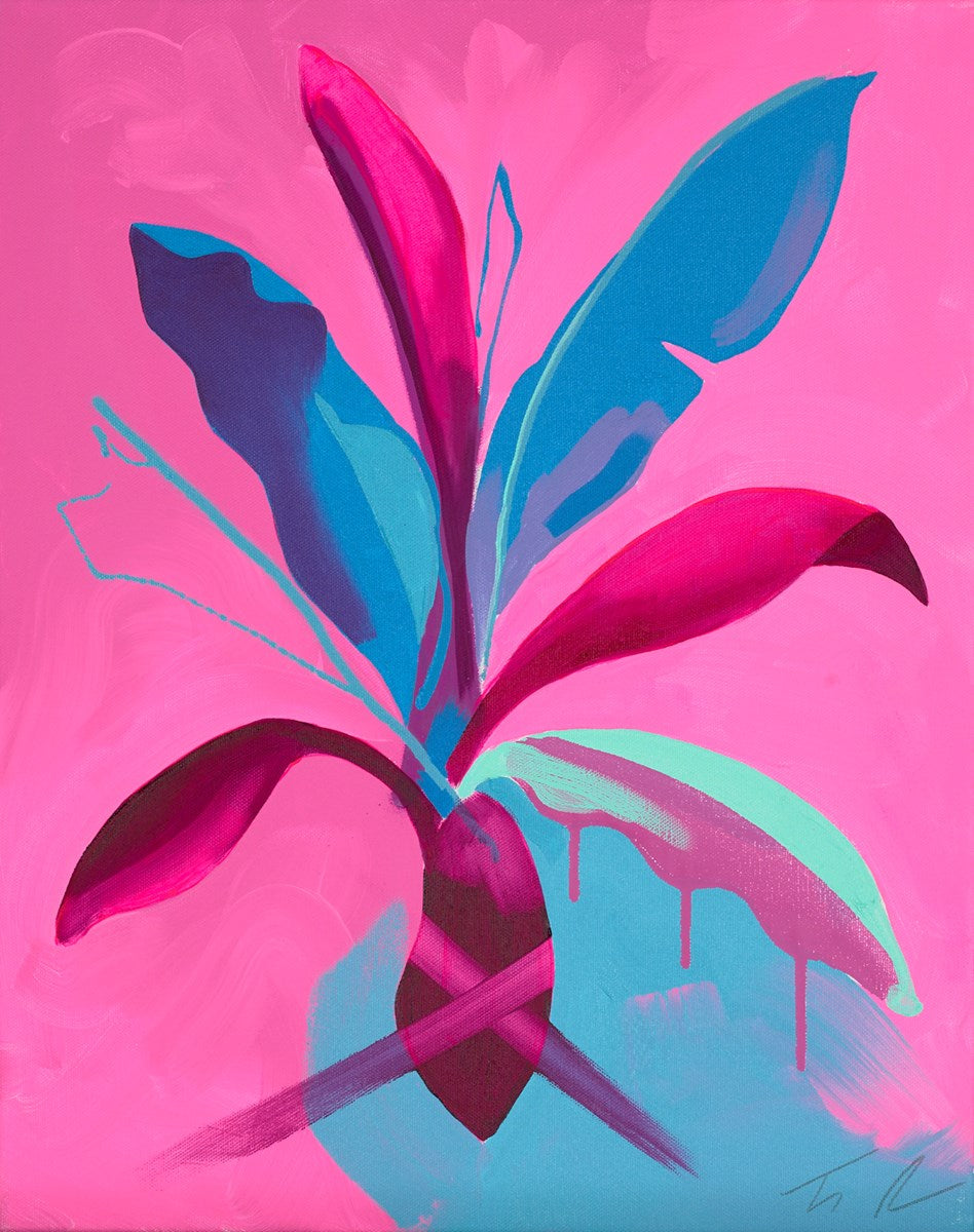Pink Bloom