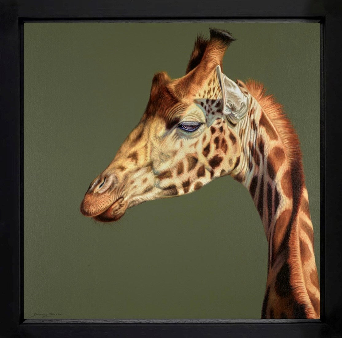 Graceful Curve (Framed)