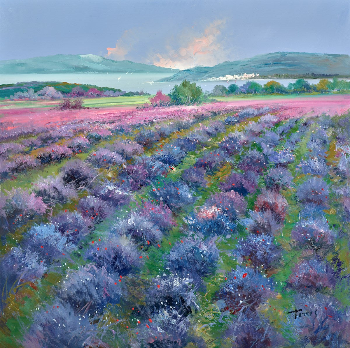 Field of Blues