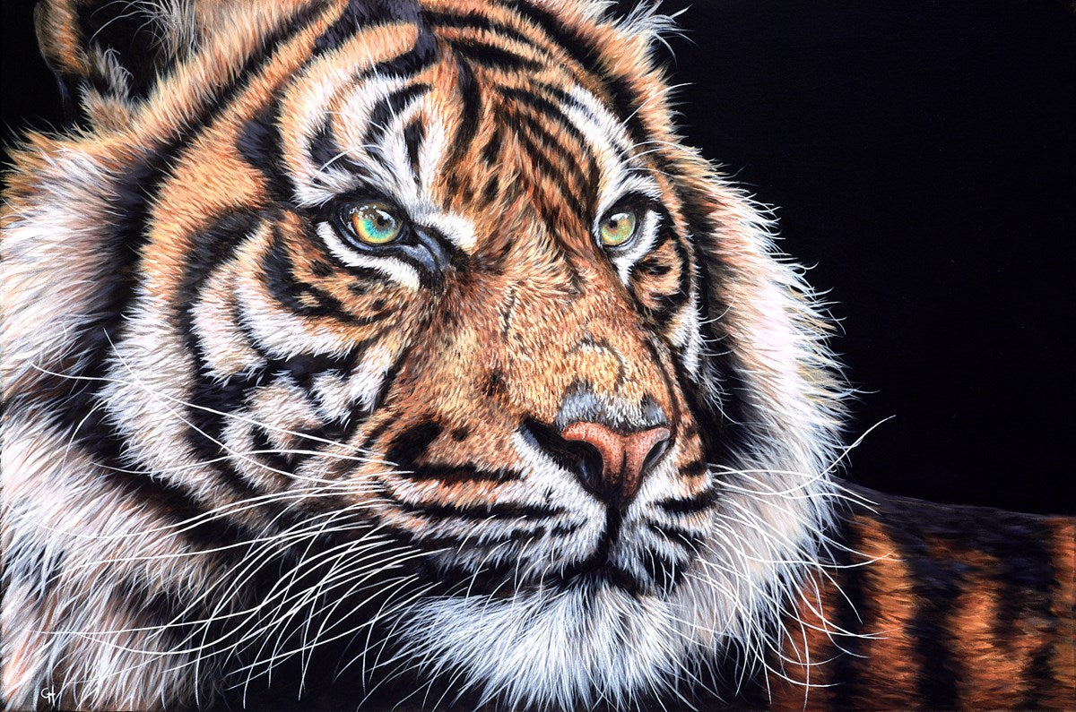 Relaxing Tiger