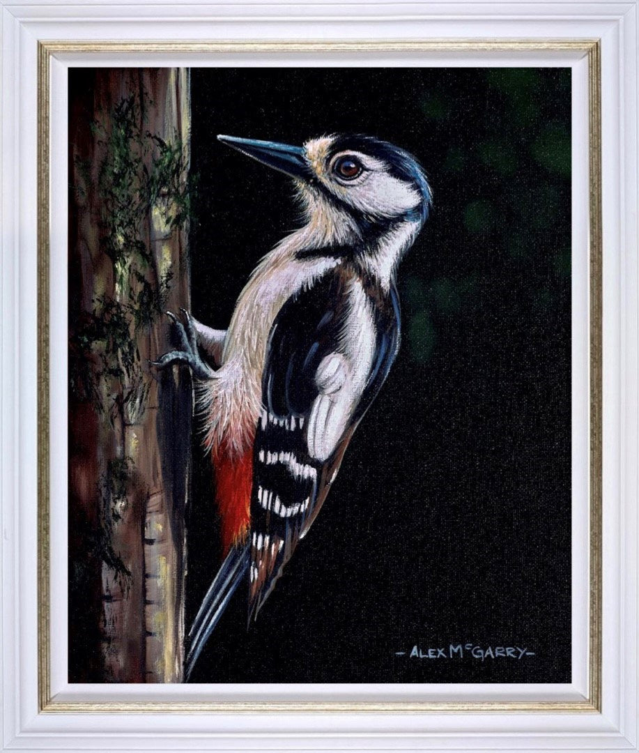 Great Spotted Woodpecker I (Framed)