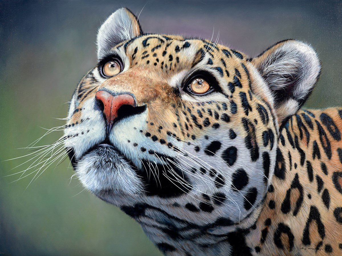 Jaguar King