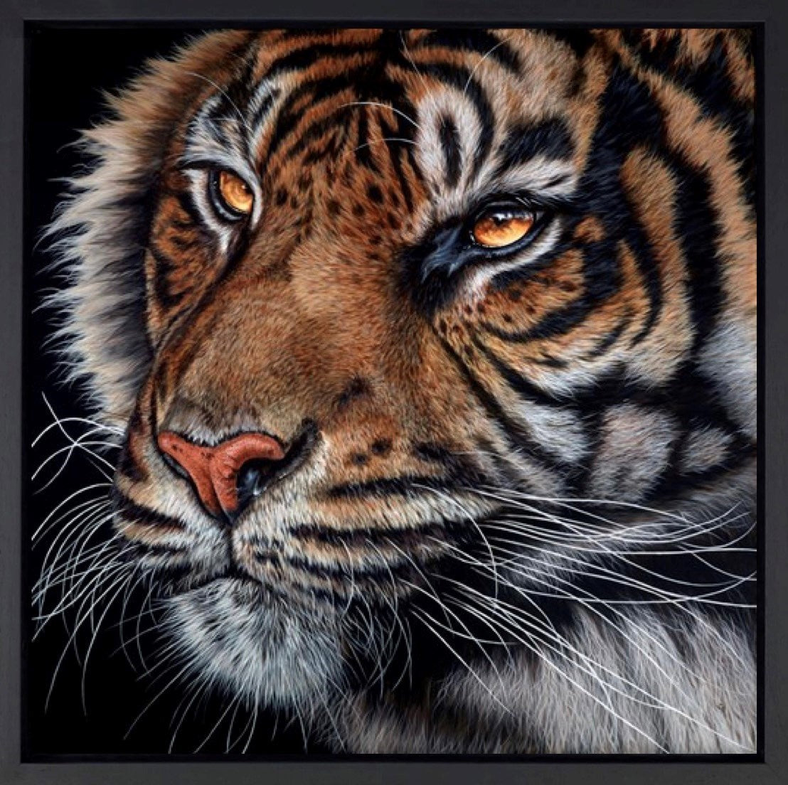 Predator (Framed)