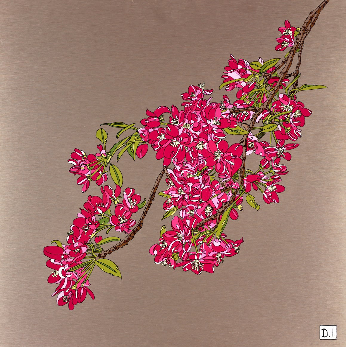 Cherry Blossom IV