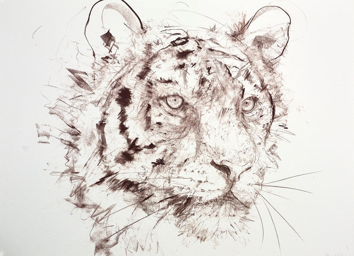 Tiger Study VIII