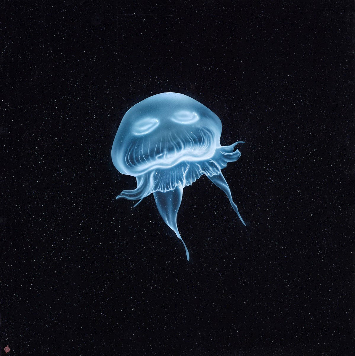 Jelly Galaxy