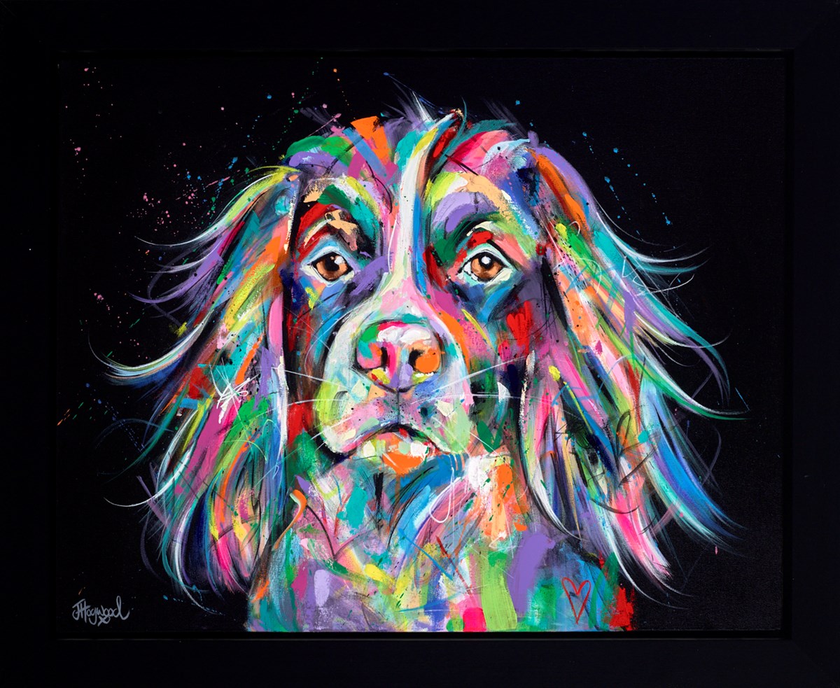 Spaniel