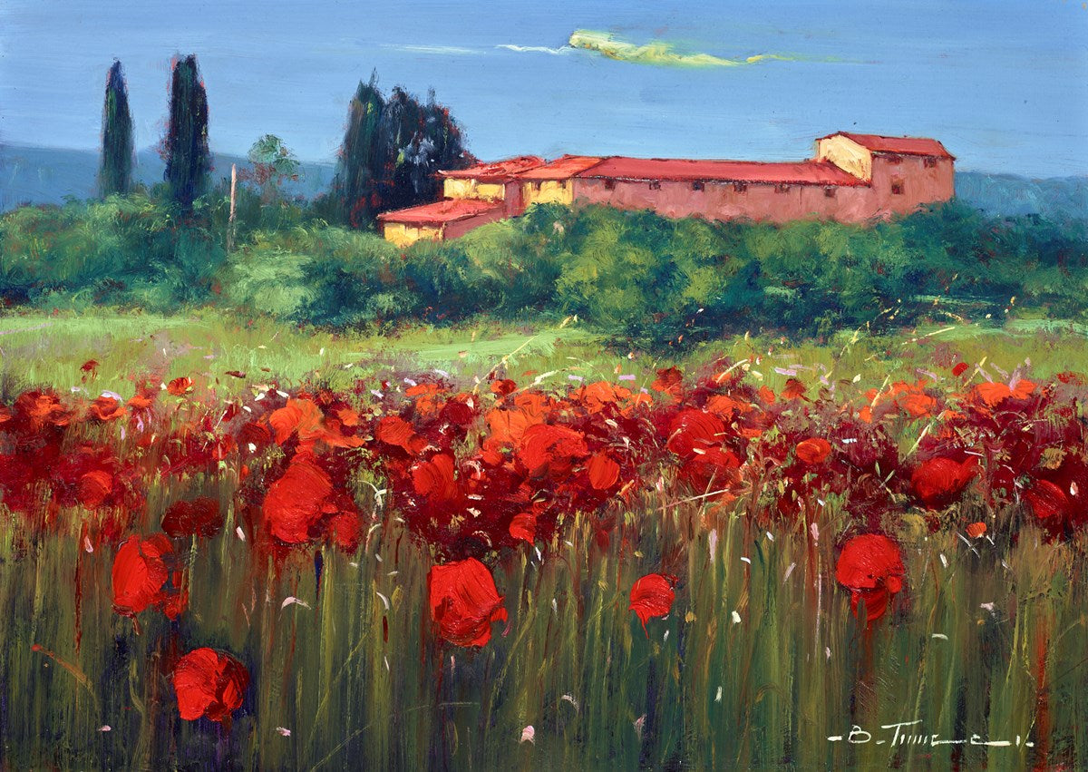 Campi Di Papaveri Italiani III