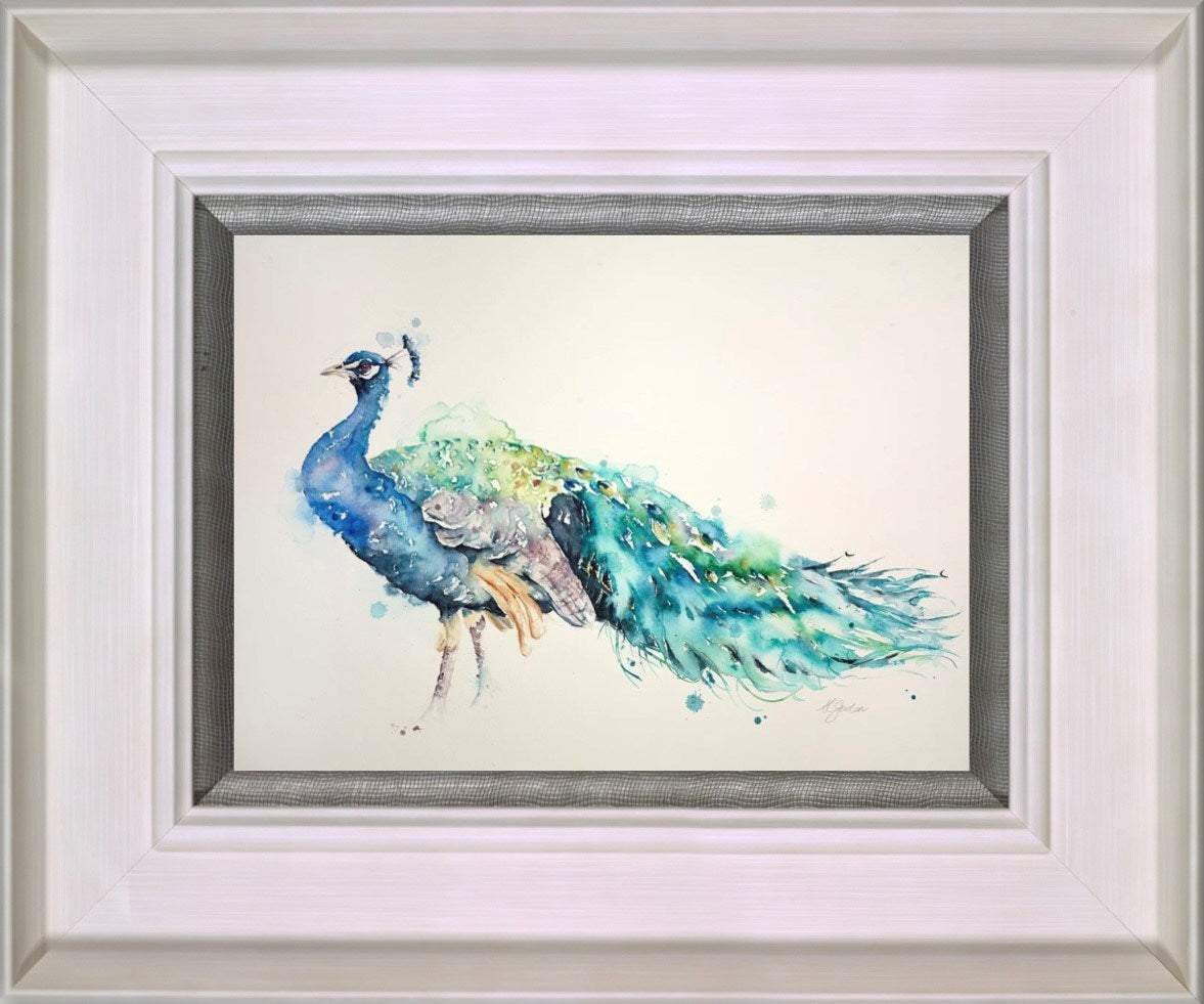 Peacock Beauty (Framed)