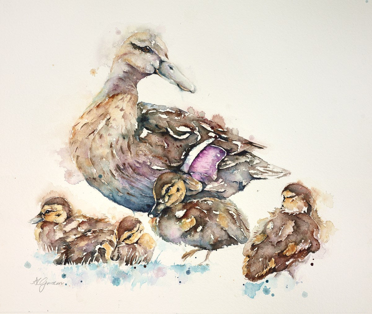 Young Mallard Family