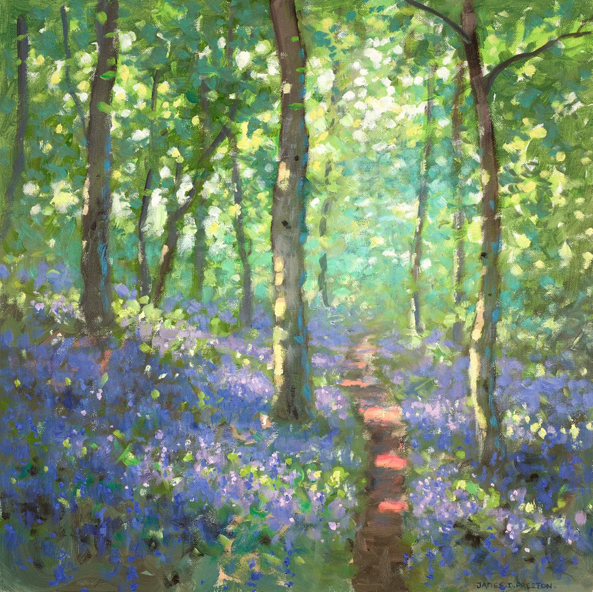 Dappled Light