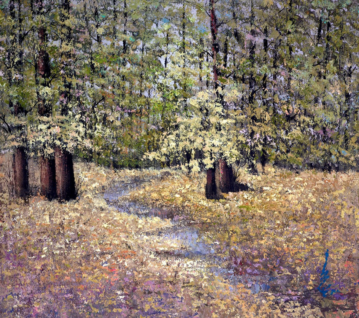 A Forest Stream