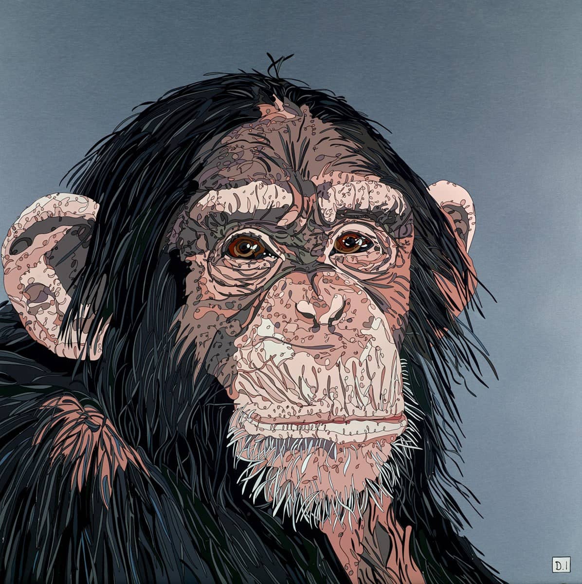 Cheeky Chimp