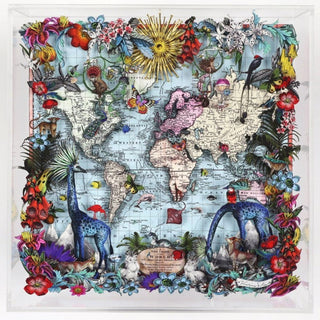 Kristjana S Williams