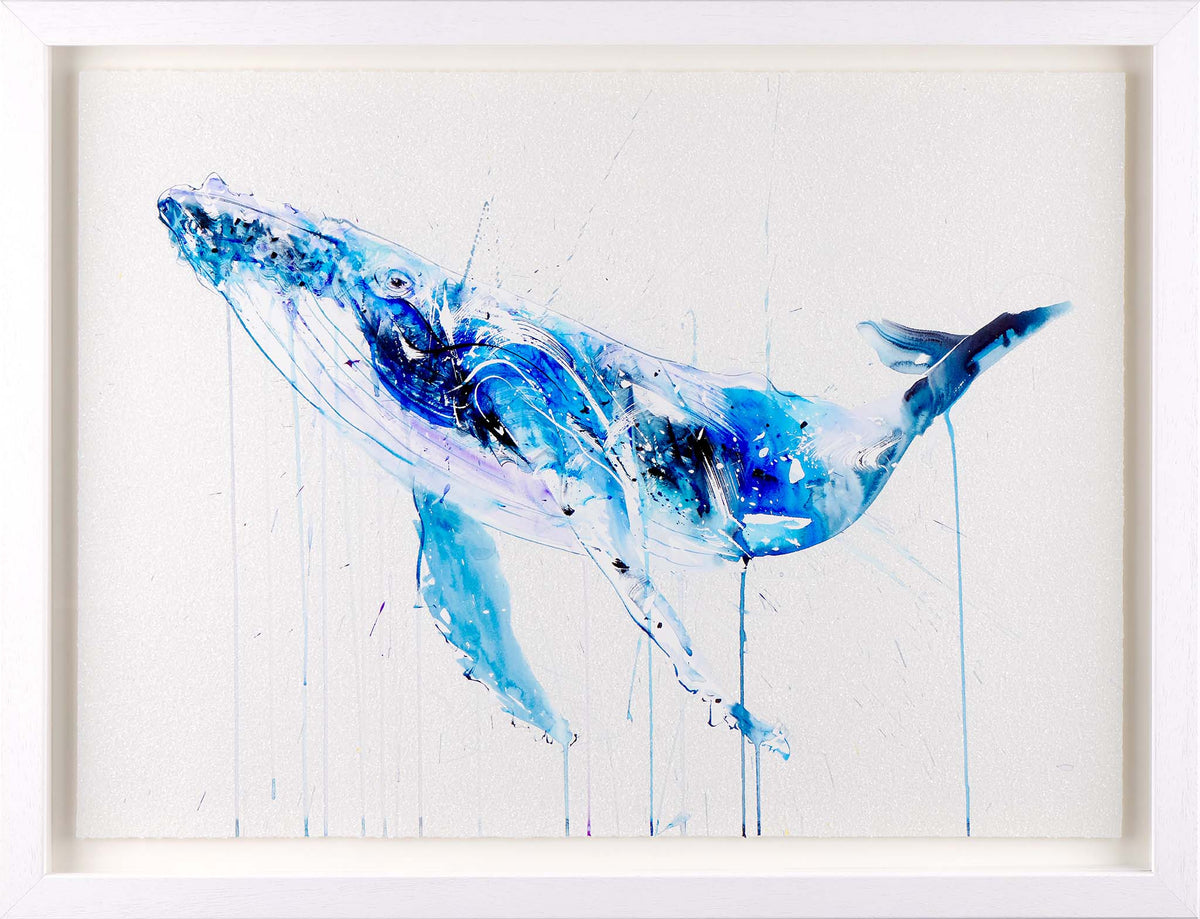 Humpback Whale