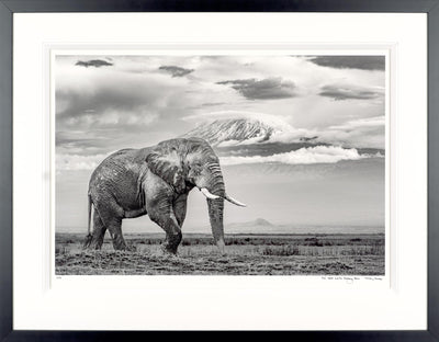 The Giant And The Gathering Storm